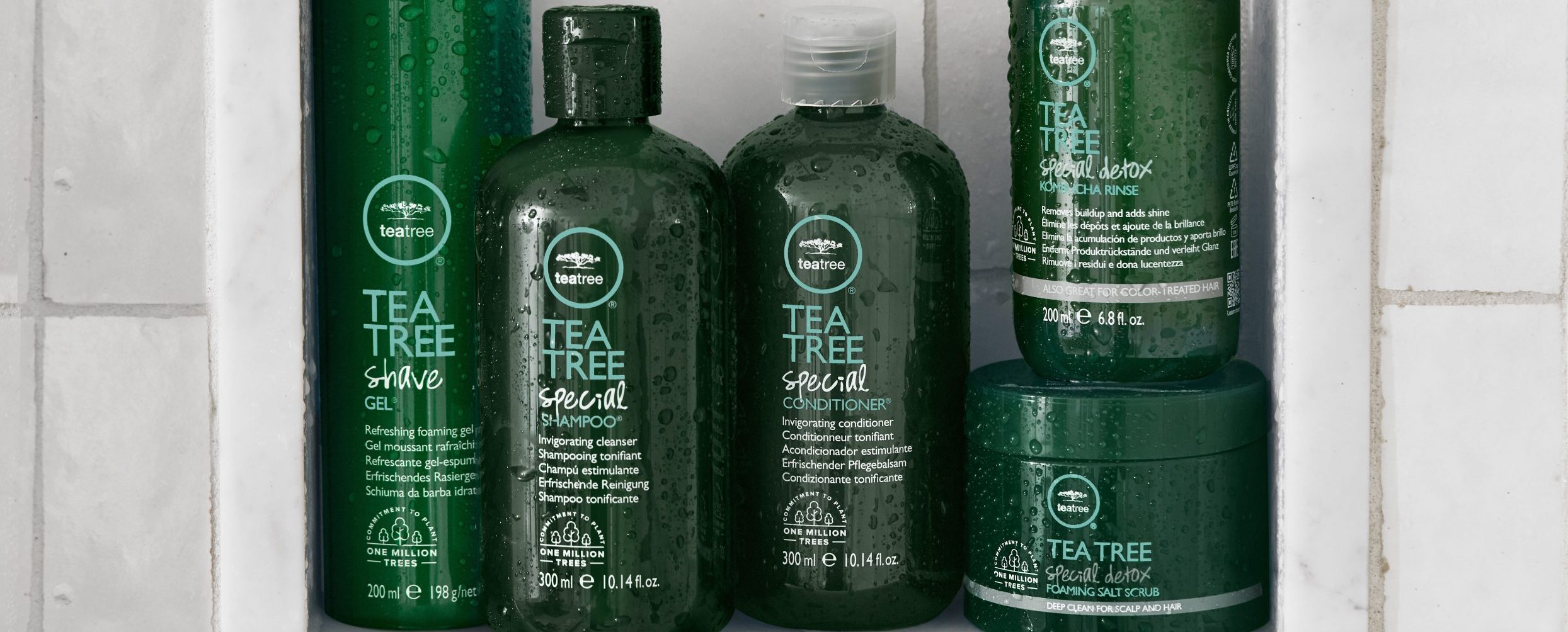 Celebrating Sustainable Products & Practices