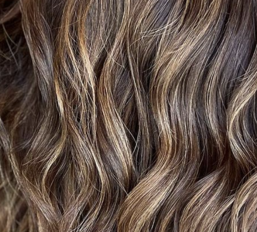 brown hair with highlights
